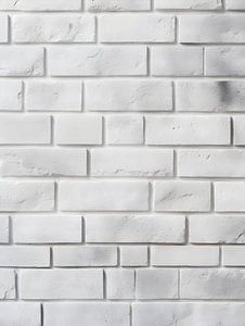 Mur de briques blanches à la structure fine