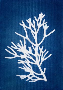 Harmonie in der Stille I von Piret Victoria Ribas Art & Photography