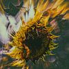 Sonnenblume von Dick Jeukens
