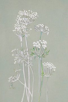 Botanical collage: Screen flowers at the roadside by Studio Pieternel