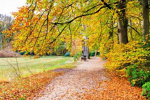 Twents bos met pad in herfst van Ben Schonewille