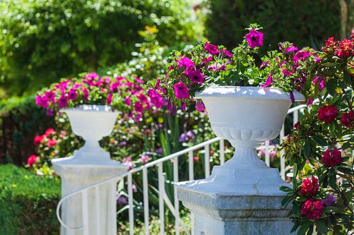 Columns with roses, Alter Strom, Warnowufer, Warnemünde, Rostock, Mecklenburg-Western Pomerania, Ger