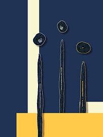 Midden in het leven 02 van Kerstin Franz