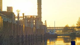 Goudenuurtje bij Suikerunie van Agnes Koning