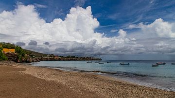 Playa Grandi, Curacao by Willemke de Bruin