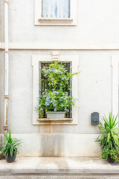 City Nature 1 par Annemieke Linders