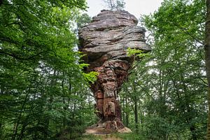 Der Wächter des Waldes – Waldeck