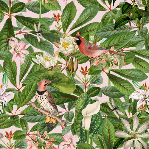 Vogels Zomerparadijs