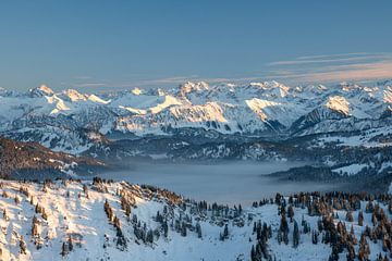 Sonnenuntergang bei Obheiter über den Allgäuer Alpen