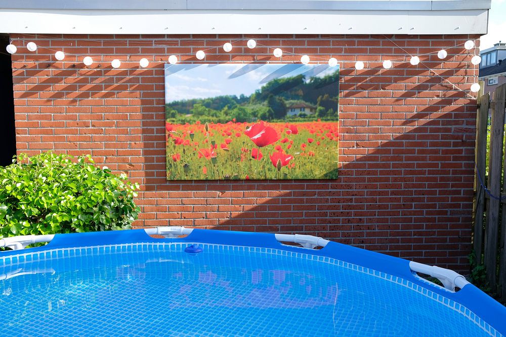 Tuscan poppy field  by Natascha Teubl 