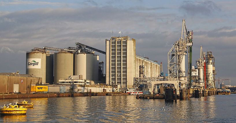 Port d'Amsterdam Vlothaven Cargill silos par Ed Vroom
