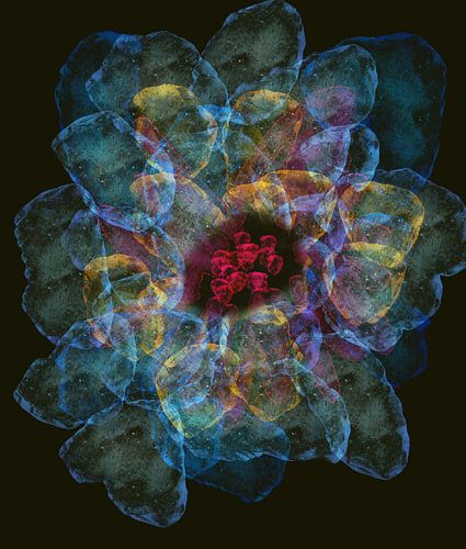 Lotus van licht abstract bloemenschilderij