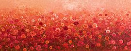 Flower field panorama in red and salmon tones