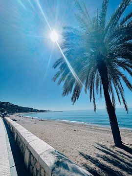 Tropical beach paradise