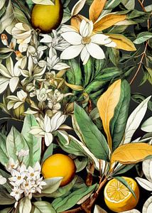 Blumen und Früchte Pflanzenkunst