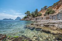 Sunny Ibiza