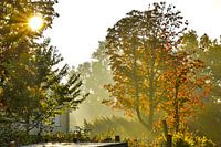 Autumn scene in full sunlight