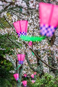 Sakura Matsuri - Japanische Frühlingsdichtung
