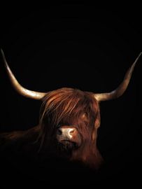 Porträt eines schottischen Highlanders von Nienke Bot