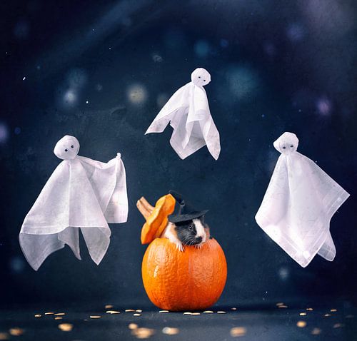 Cavia met een pompoen omringd door spookjes - Cavia Halloween - Cavia Oktober - Cavia Spook