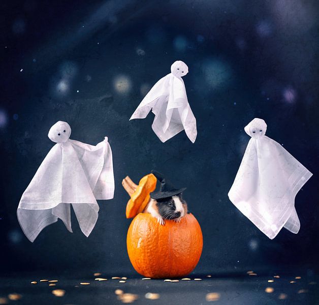 Guinea Pig Pumpkin Ghost Halloween by Marloes van Antwerpen