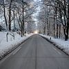 weg met licht aan het einde en sneeuw van Eric van Nieuwland
