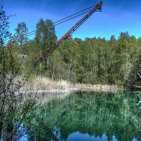 Natuur: bomen aan een meer van Jarno De Smedt