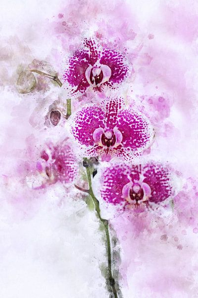 Fleurs15 par Silvia Creemers