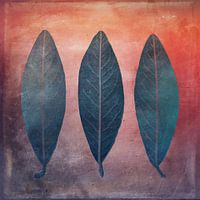 Three leaves on a background in autumnal colours