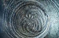 Watercirkel