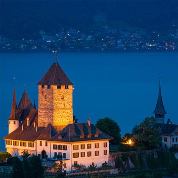 Castle of Spiez, Switzerland by Henk Meijer Photography