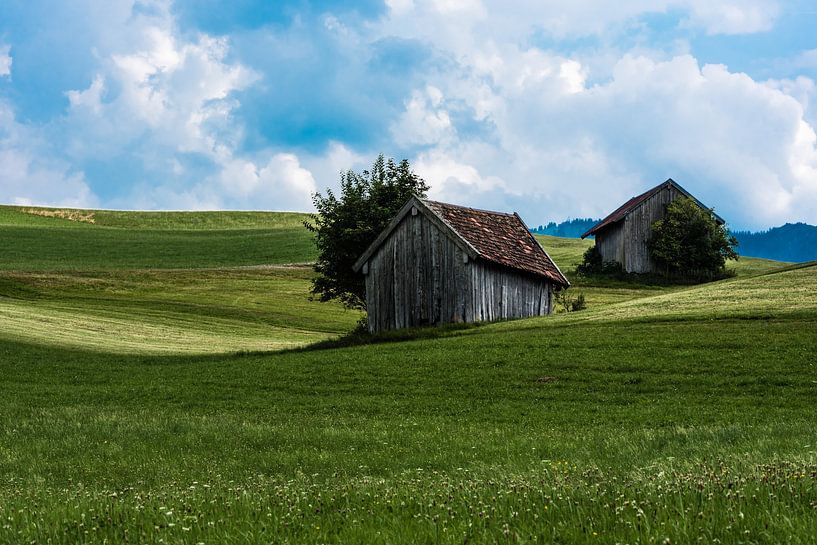 View over the gardens and valley by night (Mellieha, Malta) by Werner Lerooy