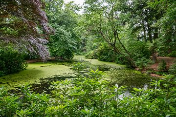 a pond bordered by trees with red and green foliage by ChrisWillemsen