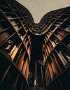 Human in Geometry by Jonas Röjestål thumbnail