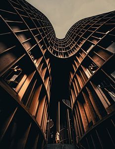 L'homme en géométrie
