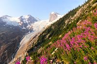 Bugaboo Provincial Park Canada