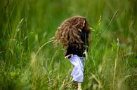 Jonge  vrouw met lang bruin haar in het hoge gras. van Margreet van Tricht thumbnail