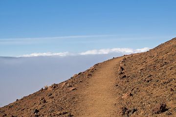 Pad boven de wolken. Teide nationaal park, Tenerife van Kristof Lauwers