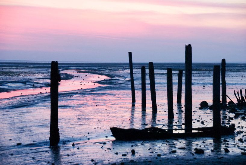 Texel by Elly Kiljan