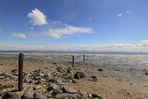Ameland/Kooikersdunen