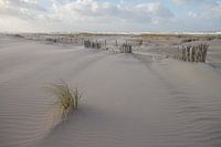 zee en zo