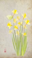 Narcissen en citroenvlinder