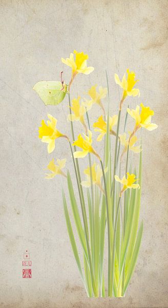 Daffodils and lemon butterfly by Fionna Bottema
