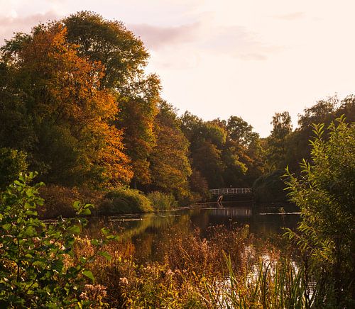 Groninger Stadtpark in Herbstfarben