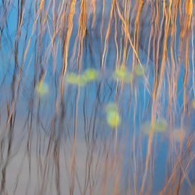 blue dreams van Elvira Werkman