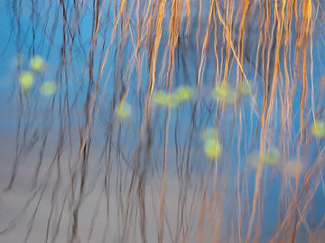 Blaue Träume von Elvira Werkman