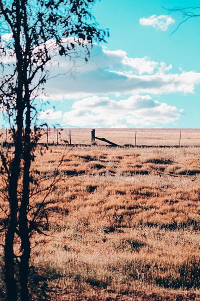 Australië landschap van Madinja Groenenberg