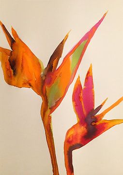 Bird of Paradise van Helia Tayebi Art