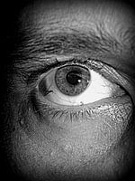 I spy...