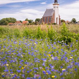 Kirche von Den Hoorn in Blumenfeldern von Matthias van Bloemendaal